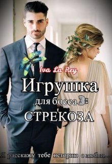 «Игрушка для босса 3: Стрекоза» книга