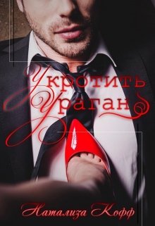 «Укротить Ураган» книга