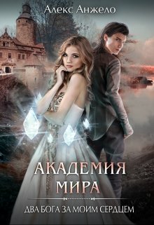 «Академия Мира. Два Бога за моим сердцем» книга