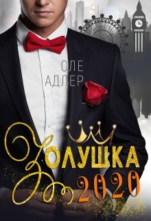 «Золушка 2020» книга