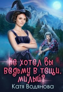 «Не хотел бы ведьму в тещи, милый?» книга