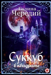 «Суккуб в квадрате» книга