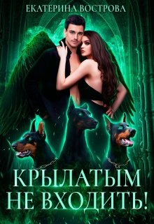 «Крылатым не входить!» книга