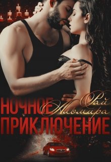 «Ночное приключение» книга