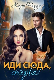 «Иди сюда, стерва!» книга