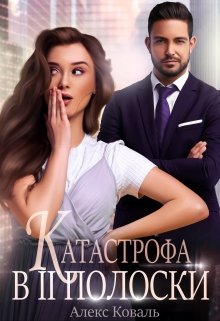 «Катастрофа в две полоски» книга