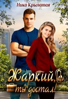 «Жаркий, ты достал!» книга