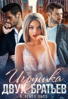 «Игрушка двух братьев» книга