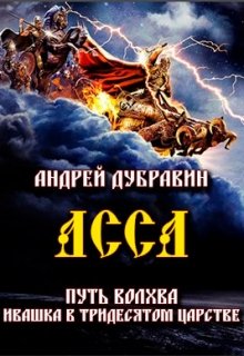 «Ивашка в тридесятом царстве Книга 5: Асса» книга