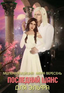 «Последний шанс для эльфа» книга