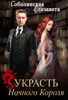 «Украсть Ночного короля» книга