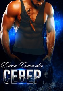 «Север (1 книга серии Берсерки)»
