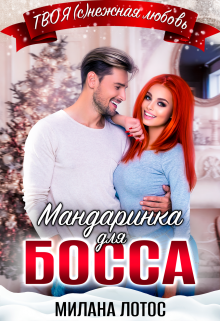 «Мандаринка для босса» книга