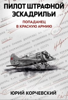 «Пилот штрафной эскадрильи» книга