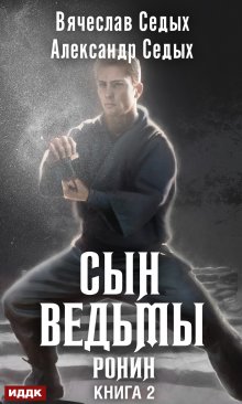 «Ронин» книга