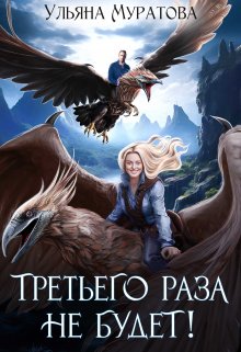 «Третьего раза не будет!» книга