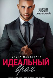 «Идеальный враг» книга