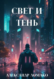 «После Лёгкой Прожарки: свет и тень (4 книга)» книга