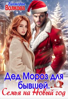 «Дед Мороз для бывшей. Семья на Новый год» книга
