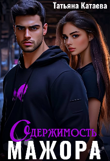«Одержимость мажора» книга