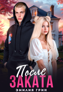 «После заката» книга