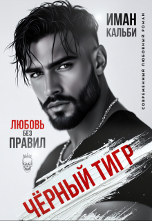 «Чёрный Тигр. Любовь без правил» книга