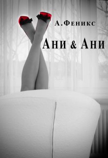 «Ани & Ани» книга