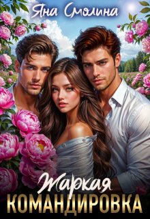 «Жаркая командировка» книга