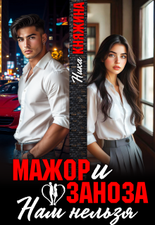 «Мажор и заноза. Нам нельзя»