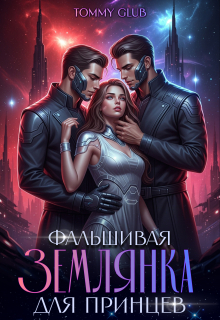«Фальшивая землянка для принцев»