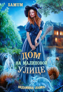 «Ведьмина лавка. Дом на малиновой улице»