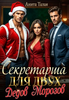 «Секретарша для двух Дедов Морозов»