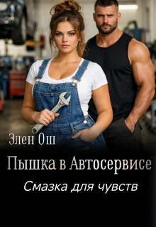 «Пышка в автосервисе»