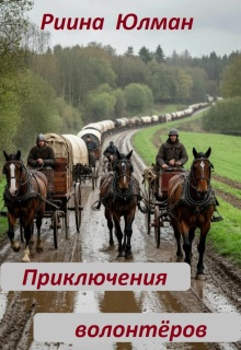 «Приключения волонтёров»
