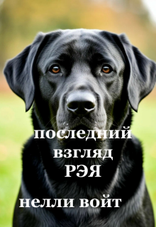 «Последний взгляд Рэя»