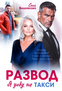 «Развод. Я уеду на такси»